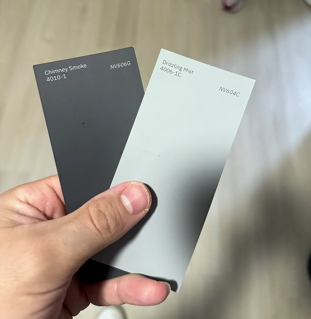 Charcoal and warm white paint swatches compared side by side on site